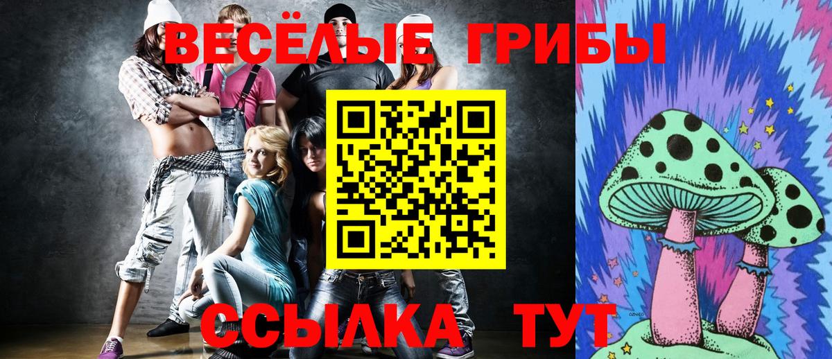 купить  цена  Галлюциногенные грибы Magic Shrooms  Лесосибирск  Вход с VPN  Галлюциногенные грибы ЛСД 